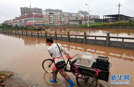 强降雨致江西91.7万人受灾 国家ⅳ级救灾应急响应紧急启动