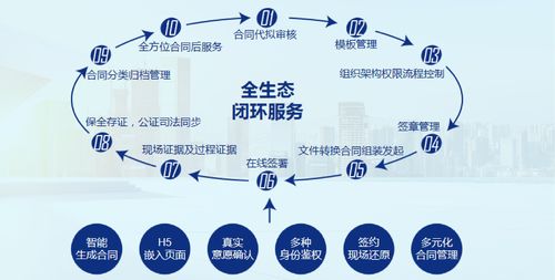 全国首例域名解析服务商侵权纠纷案宣判 阿里不构成帮助侵权