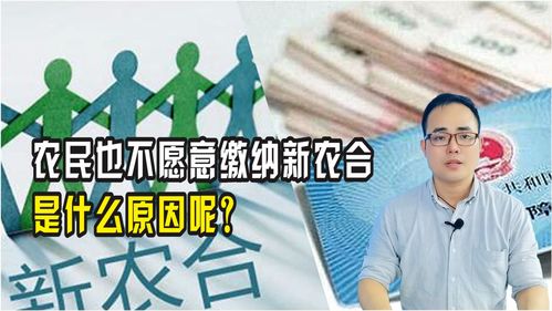 哪些人可以进行新农合二次报销 哪些人不用交新农合