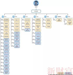 “明天系”下面的保险金融公司们